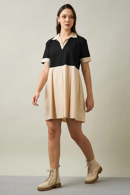 Beige & Black Colorblock Dress SNEHA B