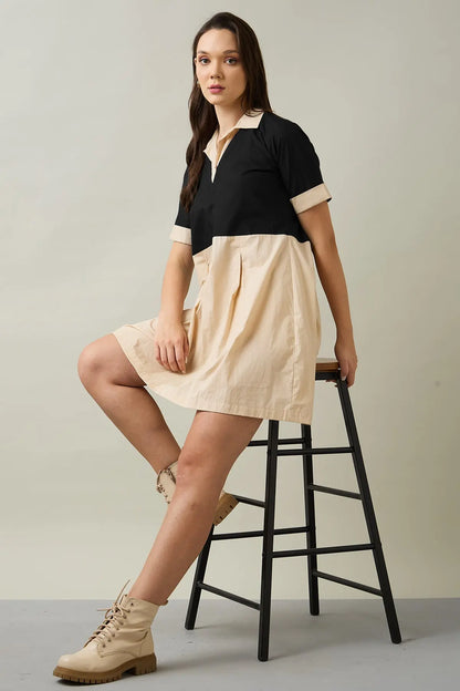 Beige & Black Colorblock Dress SNEHA B
