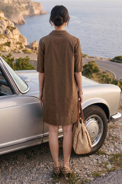 Coffee Cotton Box Pleat Dress