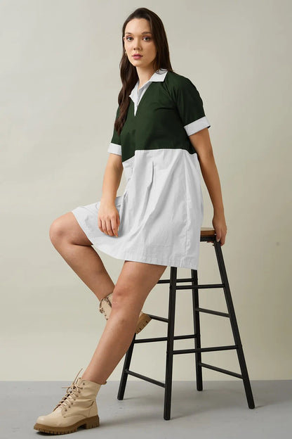 Green & Chalk Colorblock Dress SNEHA B