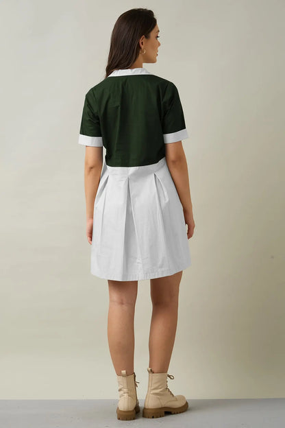Green & Chalk Colorblock Dress SNEHA B